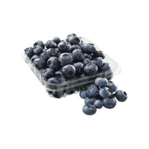 BLUEBERRY DOMO