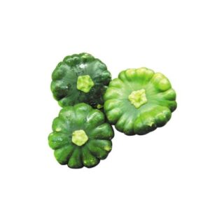 CALABAZA LOCAL