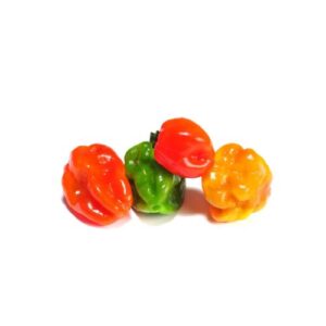 CHILE HABANERO